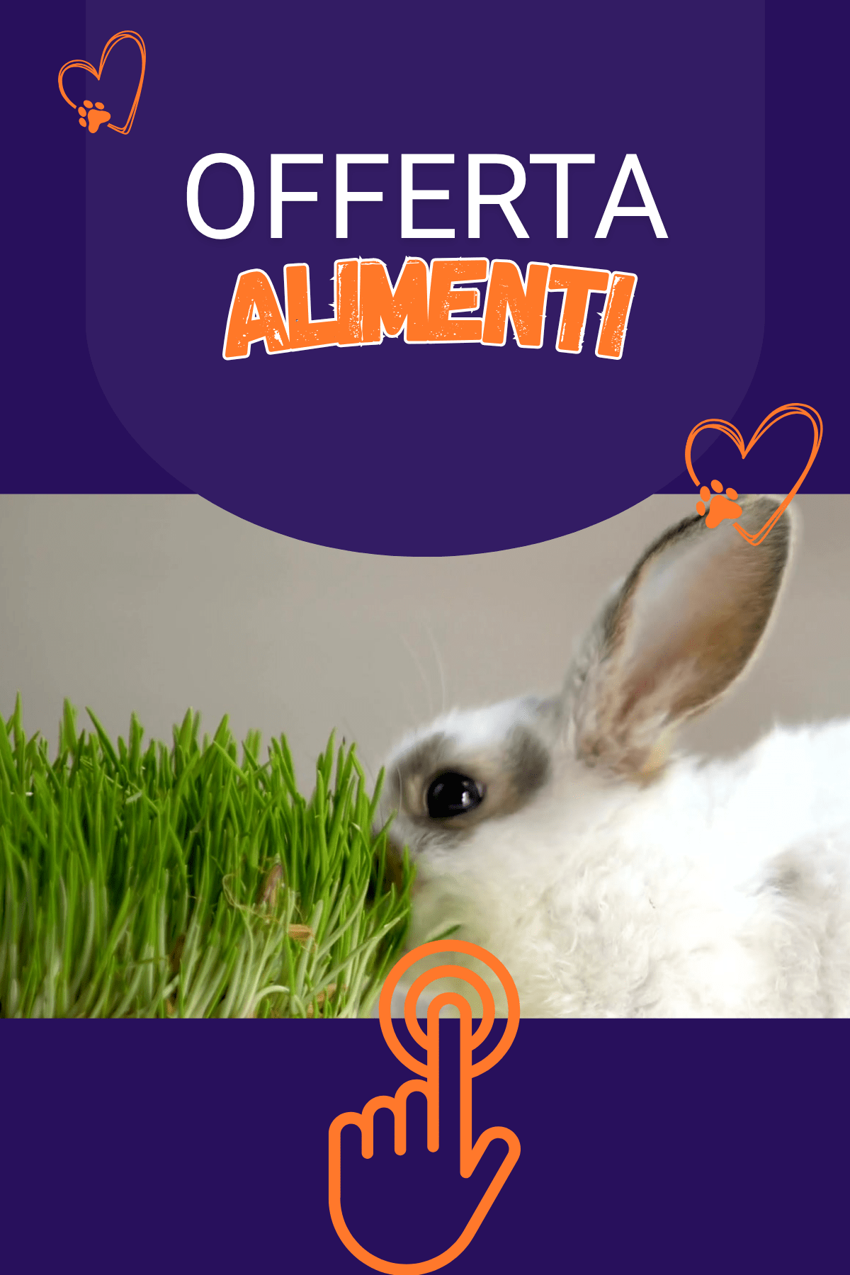Offerta Alimenti