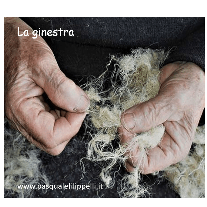 ginestra 5