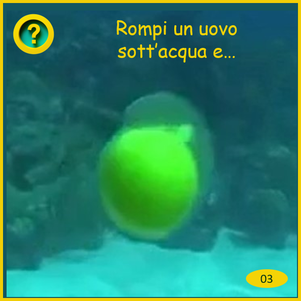 03 uovo rotto sott'acqua