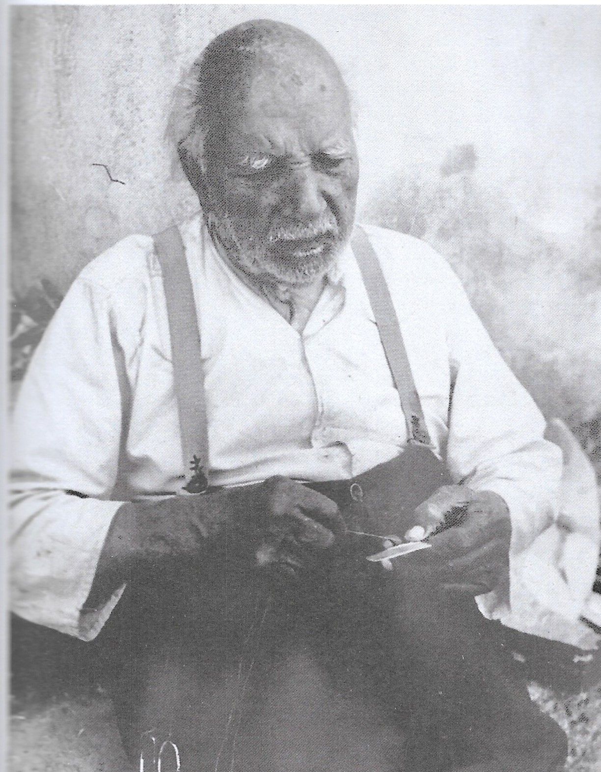 tommaso scarcella