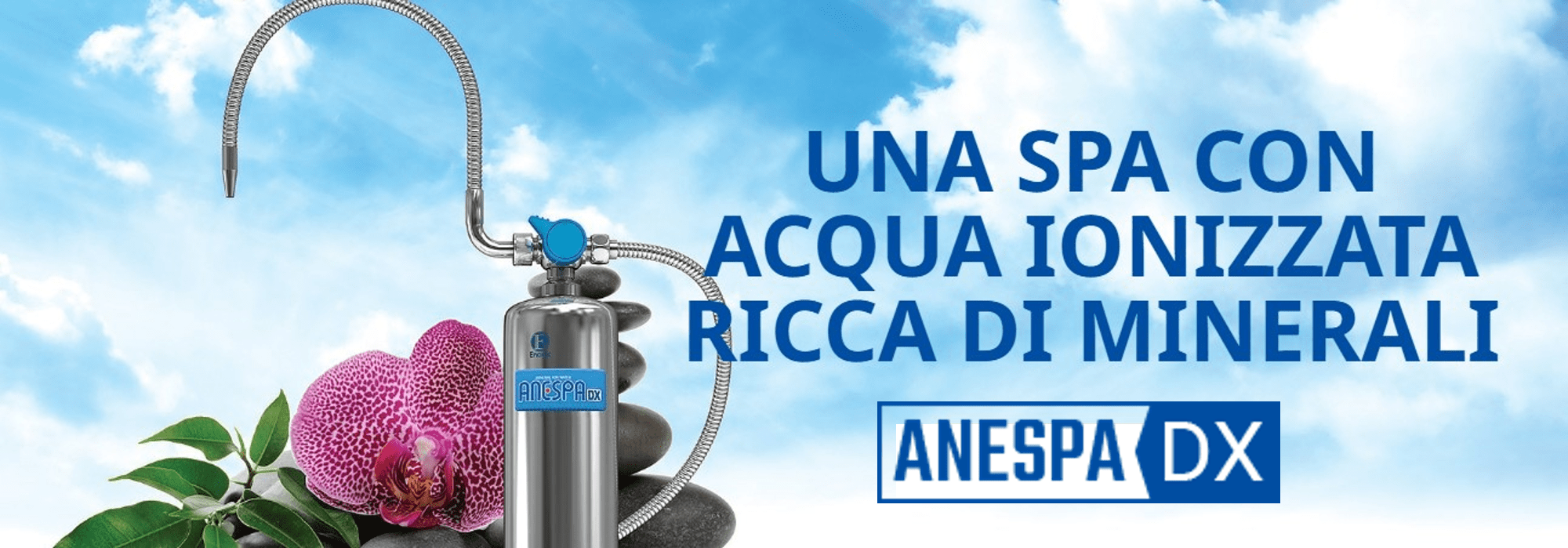 immagine anespa