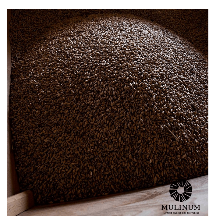 mulinum 3
