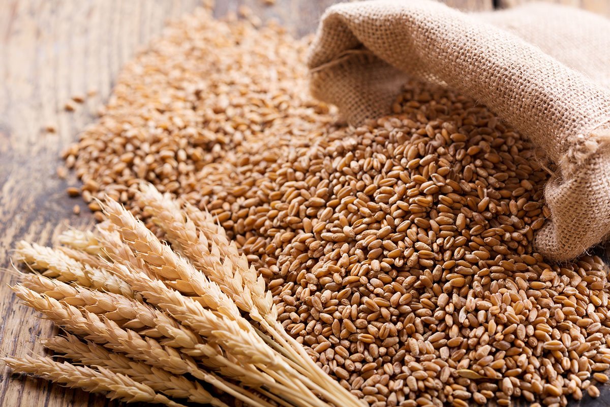 grano