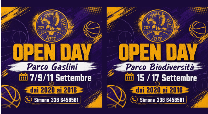 opne basket