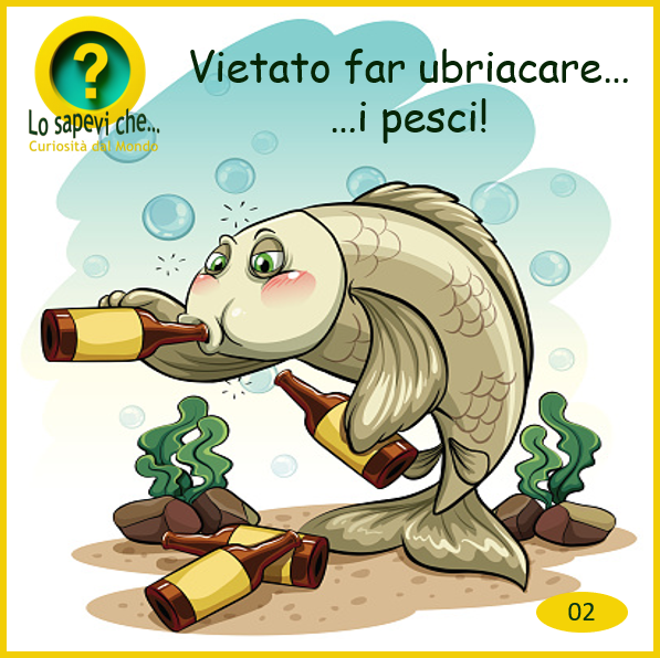02 pesce ubriaco