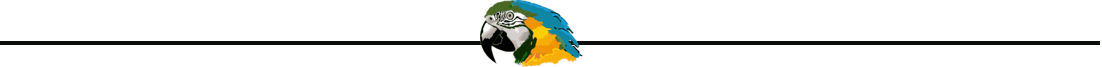 divisore