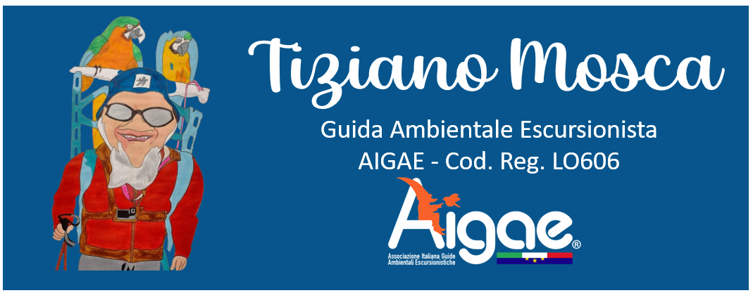 logo e descrizione