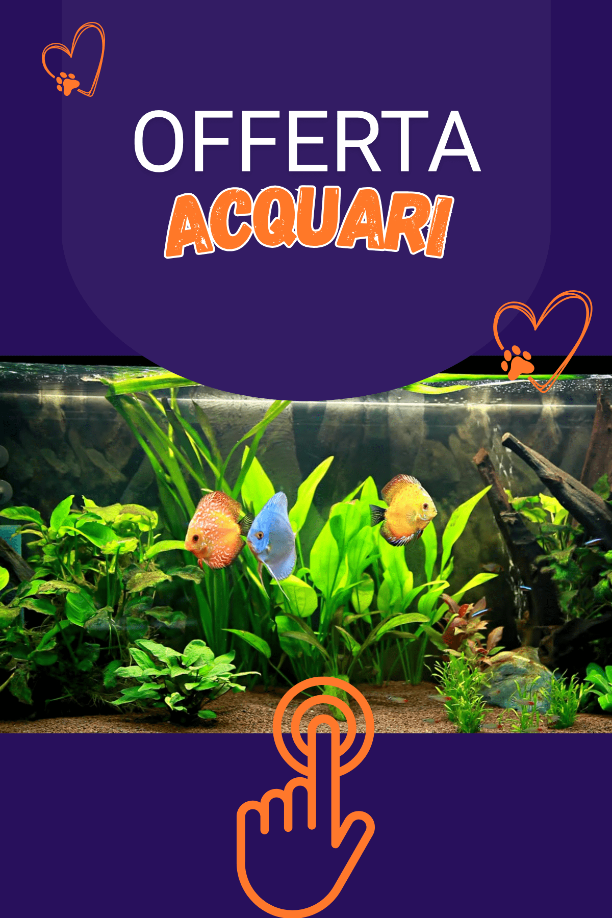 Offerta Acquari