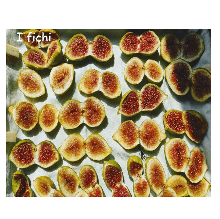 fichi 3