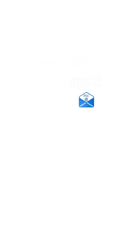 faciltiatore etc...