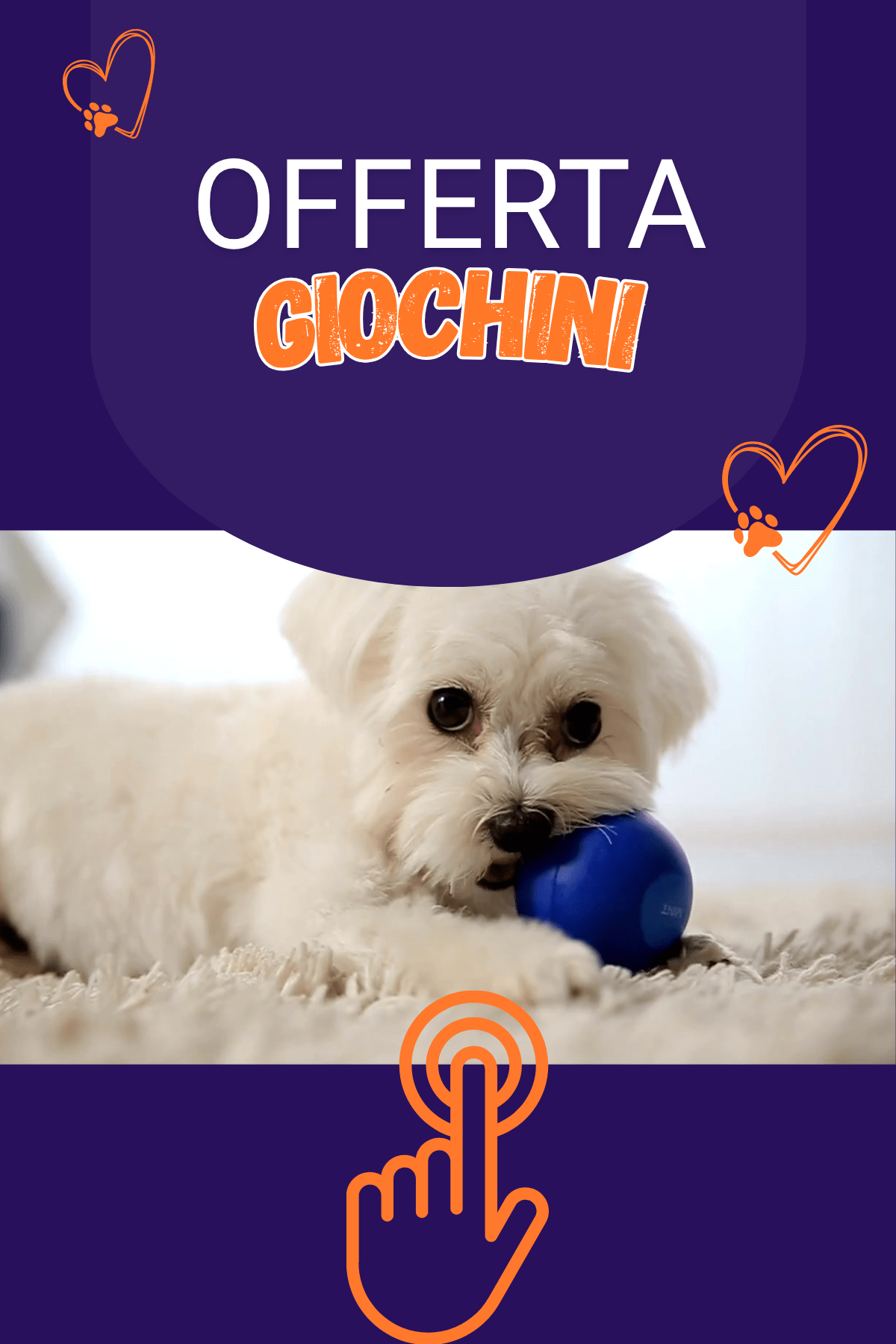 Offerta Giochini