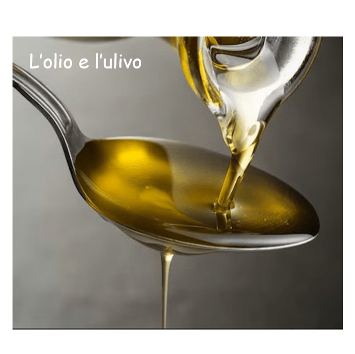 ulivo 3